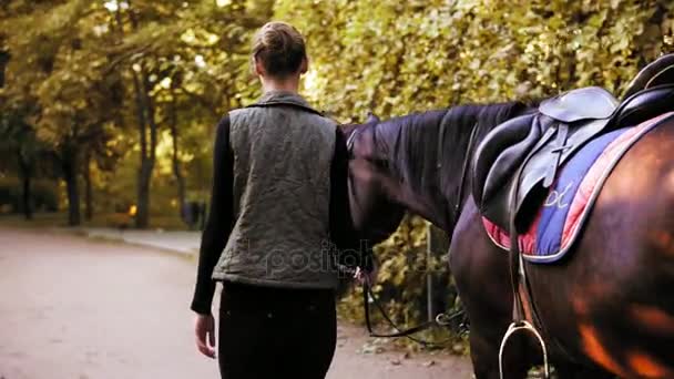 Vista trasera de un hermoso caballo marrón oscuro caminando con una joven morena en el bosque durante el día soleado — Vídeos de Stock