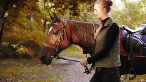 若くてきれいな女性は、秋の晴れた日の間に森で一緒に歩きながら茶色の馬をふれあい — ストック動画