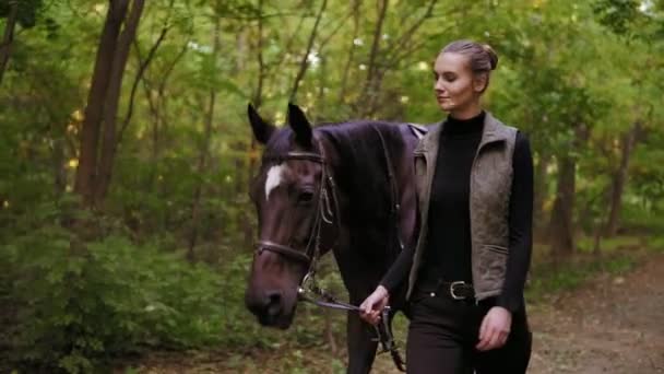 Atractivo chiste femenino es acariciar a un impresionante caballo marrón con mancha blanca en la frente mientras caminan juntos en el bosque durante el día soleado en otoño — Vídeos de Stock