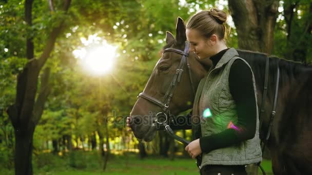 笑顔の若い雌馬ライダーは彼女の手でサドルの革のストラップを保持している日当たりの良い日中公園で額にスポット ホワイト ブラウン パーミング馬です。真の友情 — ストック動画
