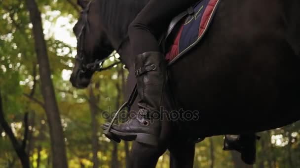 Vista dal basso: Cavaliere donna irriconoscibile seduto in sella su uno stallone che regge una briglia di pelle — Video Stock