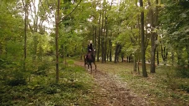 Passeios a cavalo na floresta de outono. Galope de piloto feminino profissional no parque: jovem piloto feminino no cavalo em uma floresta sombria galope — Vídeo de Stock