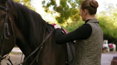 Eğitim sürmek genç çekici kadın hazırlanıyor koyu kahverengi at bir terbiye için. Bir yastık battaniye ve eyer at üzerinde hafifçe yerleştirerek kadın geri