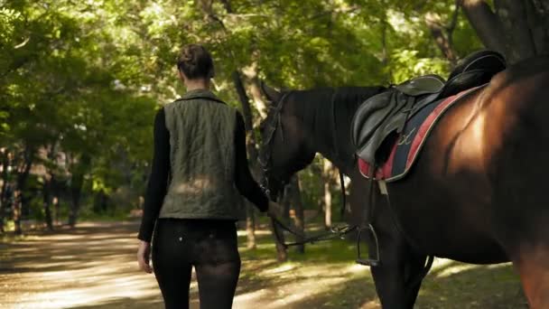 Vista trasera de la joven morena jokey girl caminando con caballo en el parque durante el día soleado — Vídeo de stock