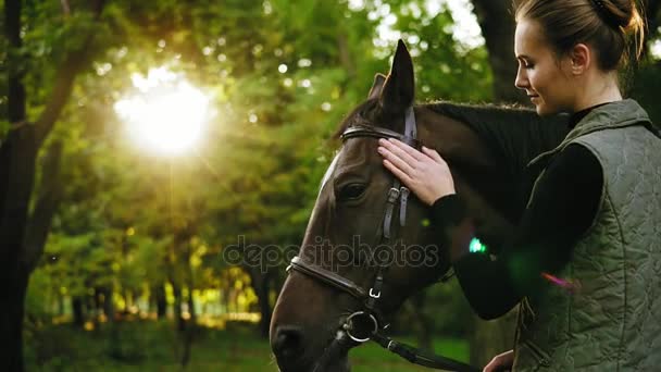 Освещение объективов в лесу: молодая красивая женщина корчит коричневую лошадь в солнечный день — стоковое видео