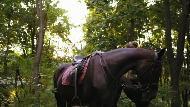 Female equestrian climbs on horseback with help of stirrup during sunny day in the forest — Stock Video