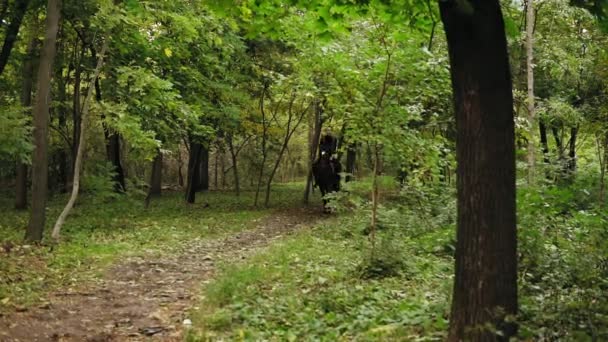 Unga kvinnliga ryttare på hästen på en skuggig skog galopp. Allure galopp. Ridning på en solig dag. Ridning i skogen sommaren — Stockvideo