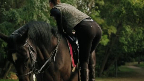 Самка скачет верхом на лошади с помощью стремя и гладит красивую коричневую лошадь. — стоковое видео