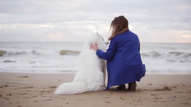 Vista posterior de una mujer blanca y joven sentados juntos en la arena junto al mar. Mascota blanca mullida en la playa mirando al mar. Verdadera amistad. Disparo en cámara lenta — Vídeo de stock