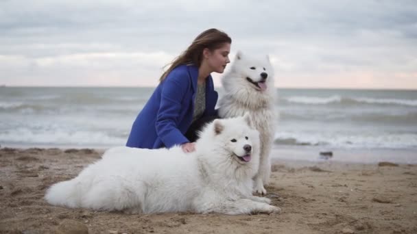 Yan görünüm oturan bir genç kadın kum ve onun köpekleri Samoyed kucaklayan deniz kenarında doğurmak. Beyaz tüylü hayvanlar sahilde eğleniyor. Güzel gökyüzü arka planda. Slowmotion atış — Stok video