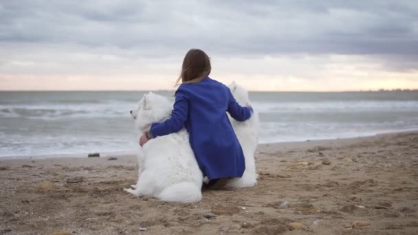 Baksidan på två vita samojedvalpar hundar och ung kvinna sitter tillsammans i sanden vid havet. Vita fluffiga husdjur på stranden tittar på havet. Sann vänskap. Slowmotion skott — Stockvideo