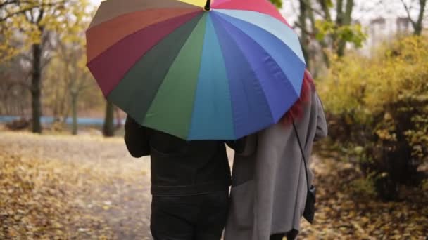 Rückansicht eines jungen Paares, das gemeinsam im Herbstpark spaziert, einen bunten Regenschirm hält und ihn verdreht — Stockvideo