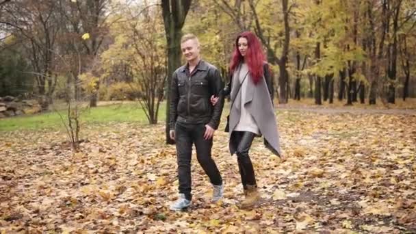 낭만적인 젊은 부부는 손을 잡고 낮가 공원에서 산책. 지상에 황금 잎의 담요입니다. 가 따뜻한 날씨 — 비디오
