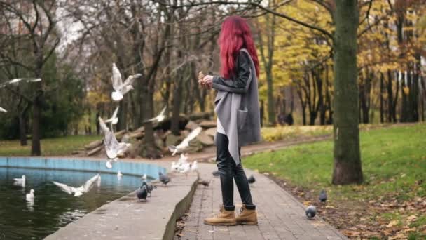 Vista lateral da mulher de cabelos vermelhos em casaco quente alimentando as gaivotas pela lagoa no parque no outono. Tiro em câmara lenta — Vídeo de Stock