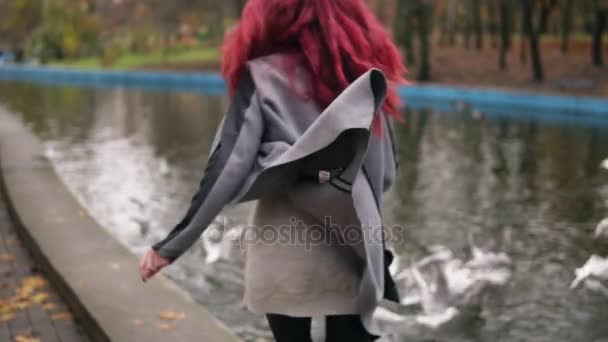 Vue de dos de jeune femme aux cheveux roux courant vers les goélands dans un étang artificiel et les faisant s'envoler. Jour d'automne dans le parc — Video