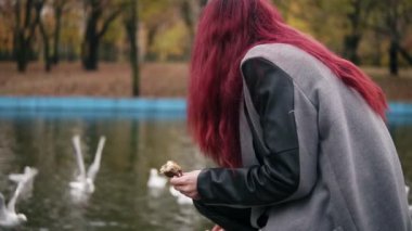 Sıcak palto martı gölet Park tarafından sonbaharda besleme içinde kırmızı saçlı kadın arkadan görünüm. Slowmotion atış
