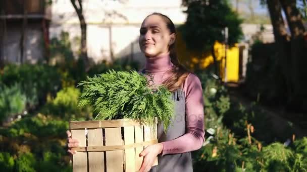 Jovem florista fêmea atraente andando entre linhas de diferentes plantas na loja de flores ou no mercado e carregando uma caixa de madeira com plantas dentro — Vídeo de Stock