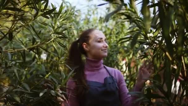 エプロンに触れることに幸せの笑みを浮かべて女性庭師の庭や温室で木の行の間で歩きながら別の木の葉します。 — ストック動画