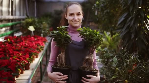 Young female florist with ponytail in apron walking among rows of flowers in flower shop or greenhouse while holding two pots with plants. She is arranging these pots on the shelf with other plants — Stock Video