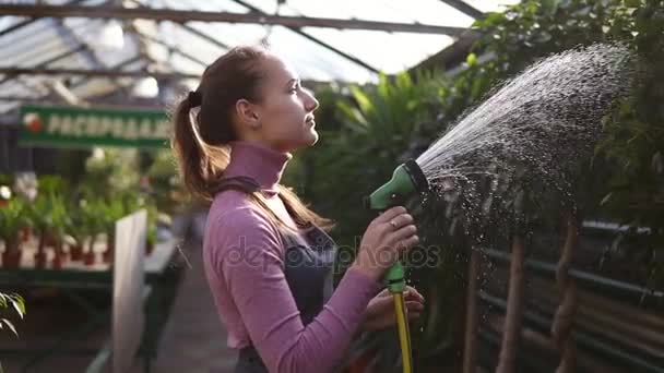 Young attractive female gardener in uniform watering plants with garden hose in greenhouse — Stock Video