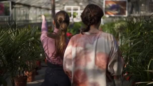 Vista posterior de una florista joven caminando con un cliente y mostrando sus diferentes plantas, explicando la información. La joven está escuchando atentamente a la floristería. — Vídeos de Stock