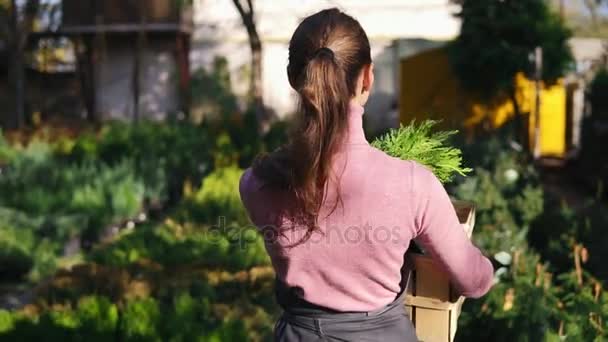 Back view of female florist walking among rows of different plants in flower shop or market and carrying a wooden box with plants inside — Stock Video