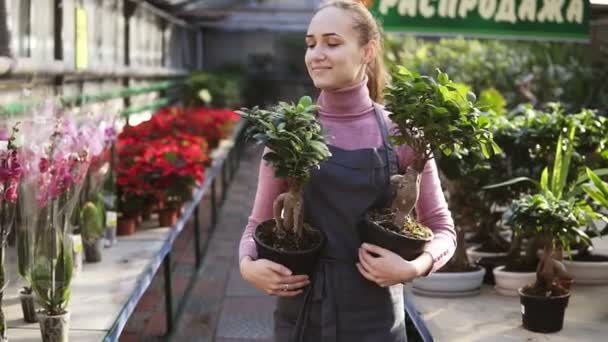 Młoda kobieta Kwiaciarnia z kitka w fartuch, spacery wśród wiersze kwiaty w kwiaciarni lub cieplarnianych trzymając dwie doniczki z roślinami w jej ręce. Uśmiechając się i patrząc w aparacie. Slowmotion strzał — Wideo stockowe