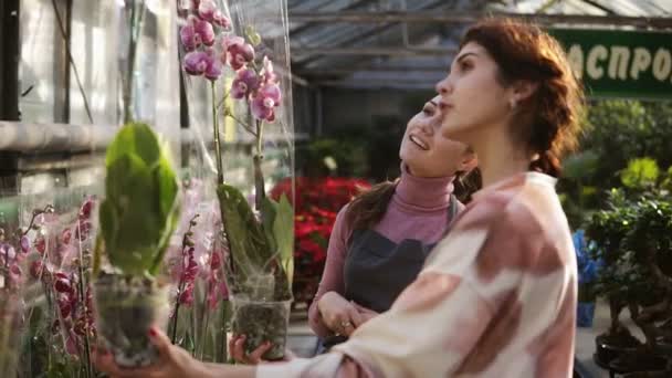 Νέοι χαμογελαστά γυναικεία ανθοπωλείο στην ποδιά βοηθώντας ένα θηλυκό πελάτη να επιλέξει μια γλάστρα με ορχιδέα λουλούδι. Νεαρή γυναίκα εξετάζει προσεκτικά το λουλούδι. Slowmotion βολή — Αρχείο Βίντεο