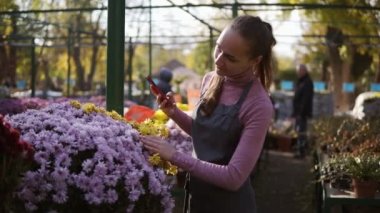 Genç kadın bahçıvan alarak resmi krizantem ile sera içinde smartphone