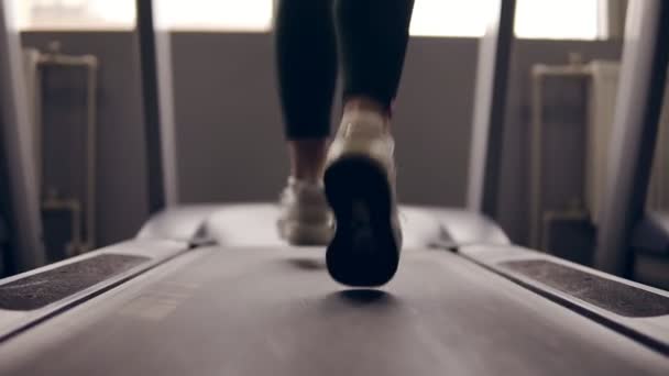 Imágenes en cámara lenta de piernas supuestamente femeninas en zapatillas de deporte corriendo en la cinta de correr . — Vídeos de Stock
