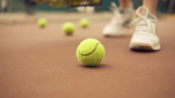 Mujer recoger las pelotas de tenis en el suelo en la cancha — Vídeos de Stock