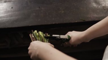 Narin, kadın el bir budayıcı çiçeklerle kaynaklanıyor kesti. Adet düşme yere kesilmiş. Çekim hedefleyen
