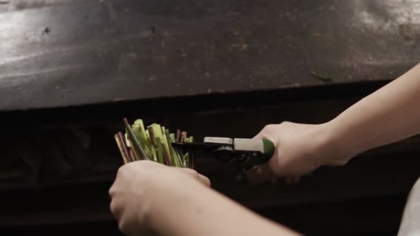 Jemné, ženské ruce řezat stonky květin s nůžky. Řezané kusy pádu na podlahu. Míření střelby — Stock video