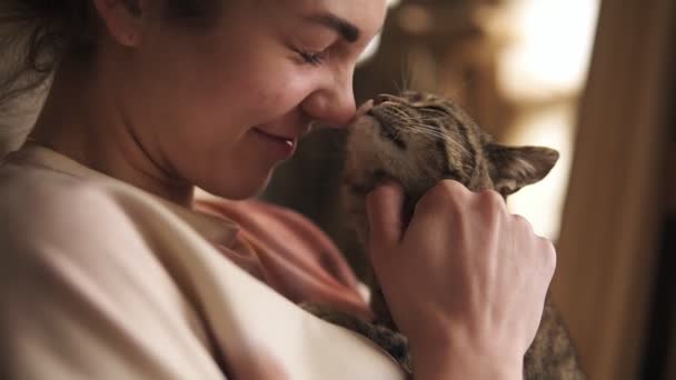 Ein junges, schönes Mädchen spielt mit einer sanften, grauen Katze. er kratzt sich an den Ohren, streichelt. Glücklich. Innenräume — Stockvideo