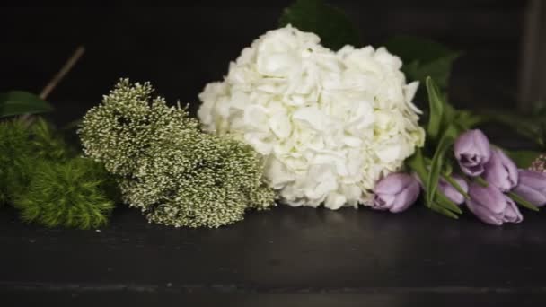 Imágenes panorámicas de una variedad de hermosas flores de diferentes colores y tipos. En interiores — Vídeo de stock