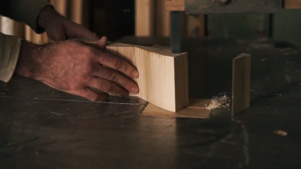Com a ajuda de serras elétricas, as mãos mestres corta o excesso de peças da barra, fazendo forma. A serradura voa da máquina. Fechar — Vídeo de Stock