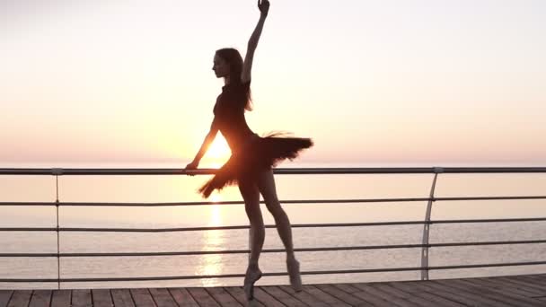 Sur toute la longueur. Un danseur de ballet dans un tutu noir, faisant des exercices, s'appuyant sur un bar près de la mer. Une jeune danseuse de ballet étire ses jambes dans un squat. Bonjour, lever de soleil rose. Mouvement lent — Video