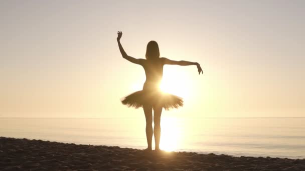 Ragazza graziosa in tutù balletto in piedi su una costa di fronte al mare. Agitando le mani. Facendo mosse di balletto. Il sole splende. Vista posteriore — Video Stock