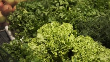 Taze salata yapraklarının gizli görüntüleri. Erkek eli süpermarkette sebze ve salata yapraklarını alır. Sağlıklı yemek.
