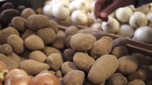 Mãos masculinas escolhendo melhor forma de batatas e colocar no saco de embalagem de plástico transparente. Compras - o homem escolhe batatas agradáveis adiciona ao pacote. Fechar — Vídeo de Stock