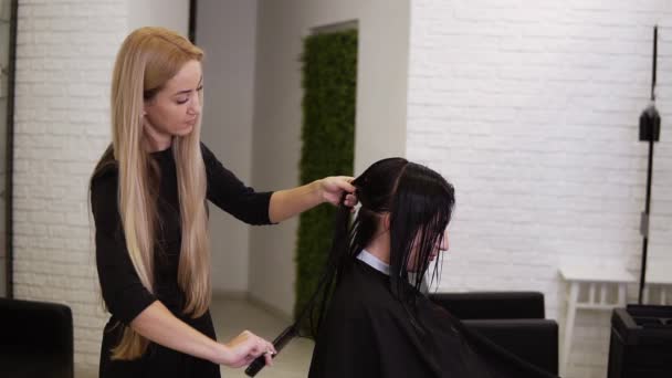 Cabeleireiro loiro segurando tesoura e pente e ações em seções clientes cabelo molhado para um corte de cabelo perfeito. Jovem mulher bonita cabelo cortado no salão de beleza. Processo de corte de cabelo com uso de tesoura — Vídeo de Stock