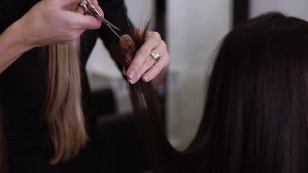 Primer plano de peluquero experto con manicura francesa corta las puntas de pelo castaño cliente con nuevas tijeras metálicas utilizando una técnica especial. Estilista profesional cuidando de los clientes termina. Movimiento lento — Vídeos de Stock