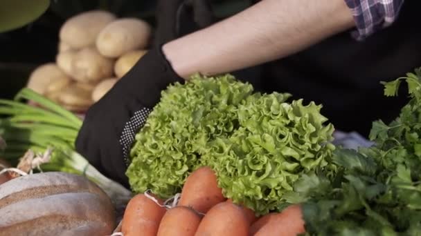 Fermez les mains des agricultrices avec des gants noirs qui arrangent les aliments biologiques - salade, pommes de terre, carottes sur le marché agricole debout à l'intérieur en serre. Personnes, concept de récolte et de magasinage — Video