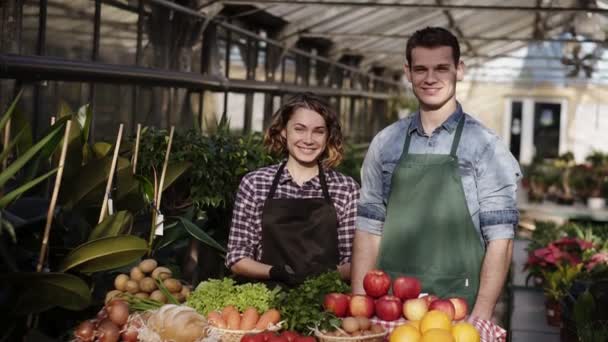 Portrait of beautiful caucasian farmers - man and woman in aprons selling organic food in farm market. Smiling looking at camera standing indoors in spacious, sunny greenhouse. People, harvesting and — 비디오