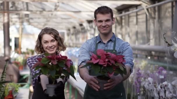 Portrait of a beautiful woman and handsome guy working in sunny greenhouse full of blooming plants, standing with pots plants with outstretched hands and cheerfully smiling to a camera. Rows of — 비디오