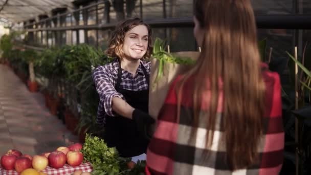 エプロンを着たヨーロッパの販売員の肖像画は、温室内の女性の顧客に茶色の紙袋に有機食品を与えています。テーブルから有機食品を売っている陽気で笑顔の女性は、ノートを作ります — ストック動画