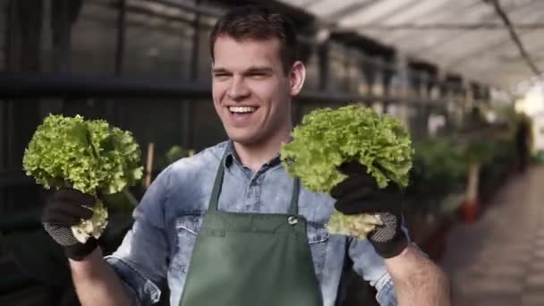 Jovem vendedor muito feliz em avental verde em pé em uma fileira de estufa, segurando nas mãos duas pilhas de salada verde e fresca e fazendo dança engraçada, sorrindo e animado. Movimento lento — Vídeo de Stock