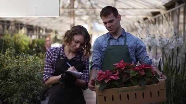 Bonito jardineiro masculino em camisa e avental verde carregando caixa de papelão com flores rosa plantas enquanto caminha com seu colega uma menina agradável fazendo anotações. Caminhando entre flores levantadas em uma fileira de — Vídeo de Stock