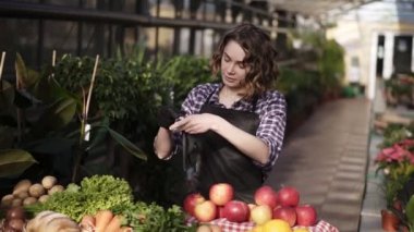 Portrait of beautiful woman farmer putting on black gloves and starting to arrange organic food in farm market standing indoors in spacious greenhouse. People, harvesting and shopping concept