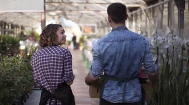 Tall male gardener in shirt and green apron carrying carton box with pink flowers plants while walking with his collegue - a nice girl listening to him. Walking between raised flowers in a row of
